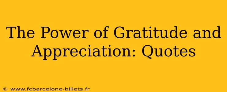 The Power of Gratitude and Appreciation: Quotes