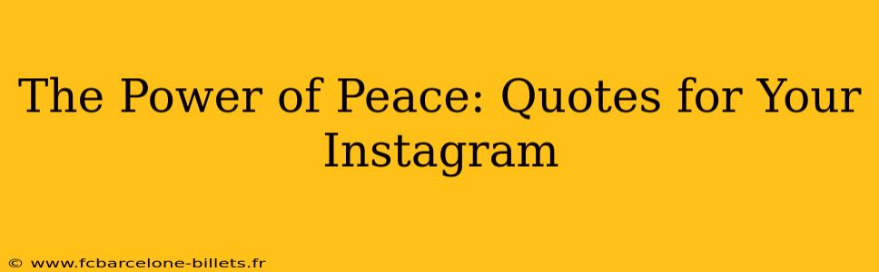 The Power of Peace: Quotes for Your Instagram