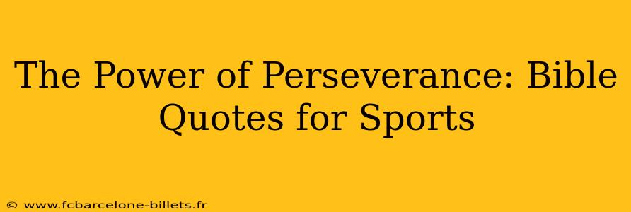 The Power of Perseverance: Bible Quotes for Sports