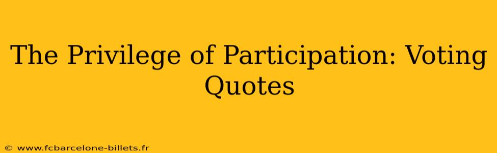 The Privilege of Participation: Voting Quotes