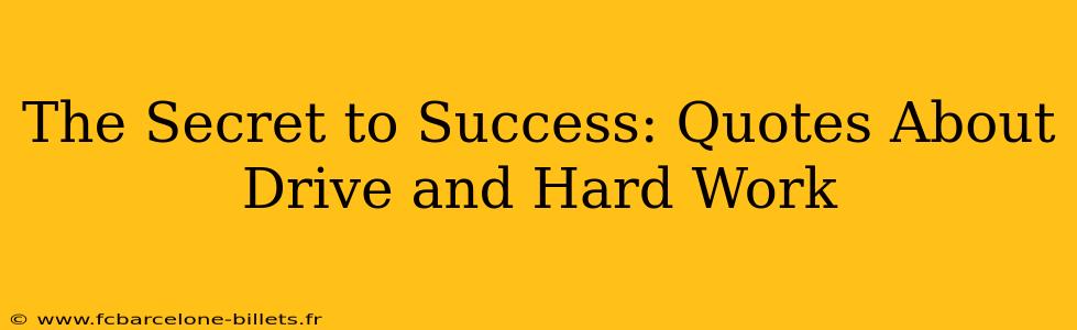 The Secret to Success: Quotes About Drive and Hard Work