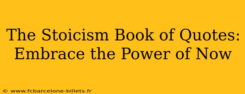 The Stoicism Book of Quotes:  Embrace the Power of Now