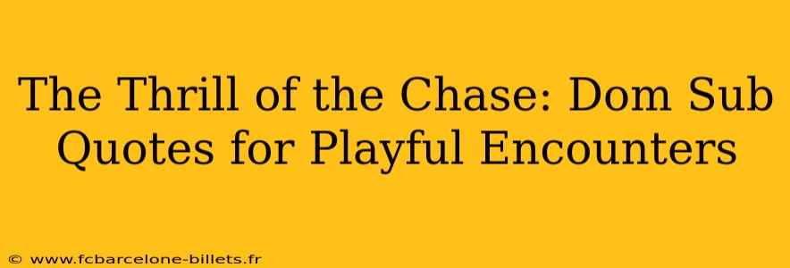 The Thrill of the Chase: Dom Sub Quotes for Playful Encounters