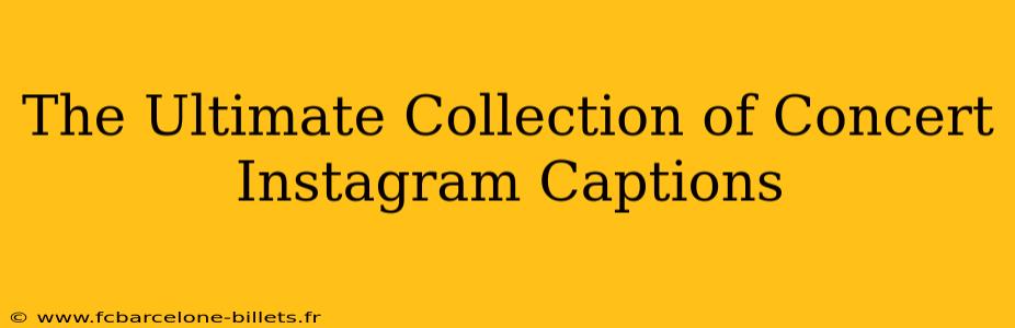 The Ultimate Collection of Concert Instagram Captions