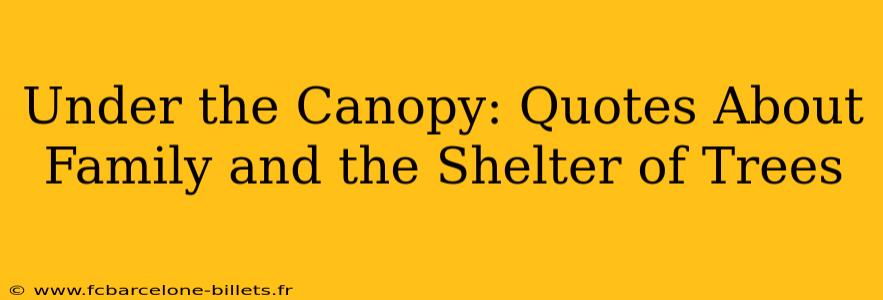 Under the Canopy: Quotes About Family and the Shelter of Trees