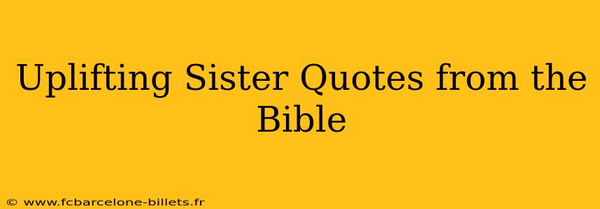 Uplifting Sister Quotes from the Bible