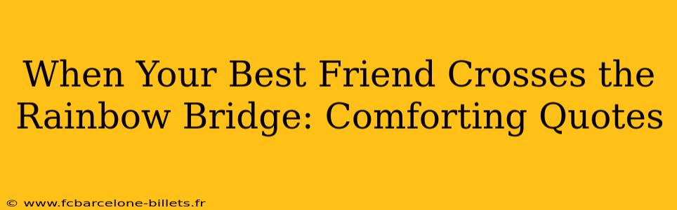 When Your Best Friend Crosses the Rainbow Bridge: Comforting Quotes