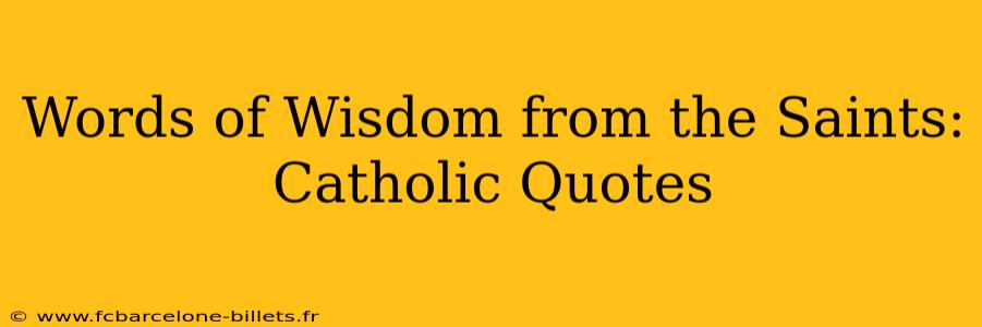 Words of Wisdom from the Saints: Catholic Quotes