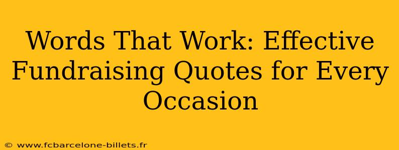 Words That Work: Effective Fundraising Quotes for Every Occasion